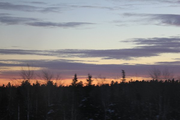 New Camera Dec2010 217